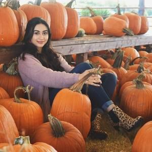 Meet your Posher, Jordan